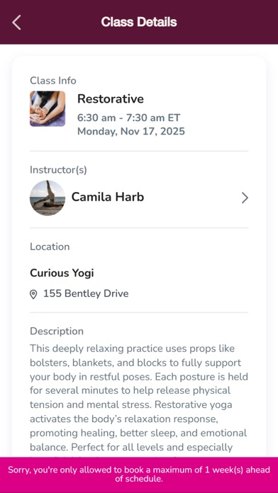 Curious Yogi screenshot 3