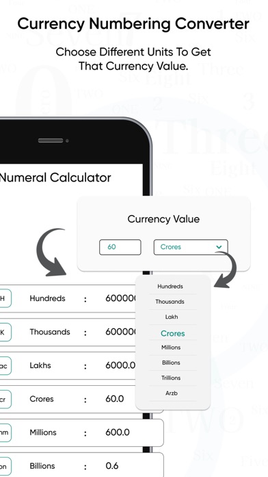 Currency Numbering Converter screenshot 1