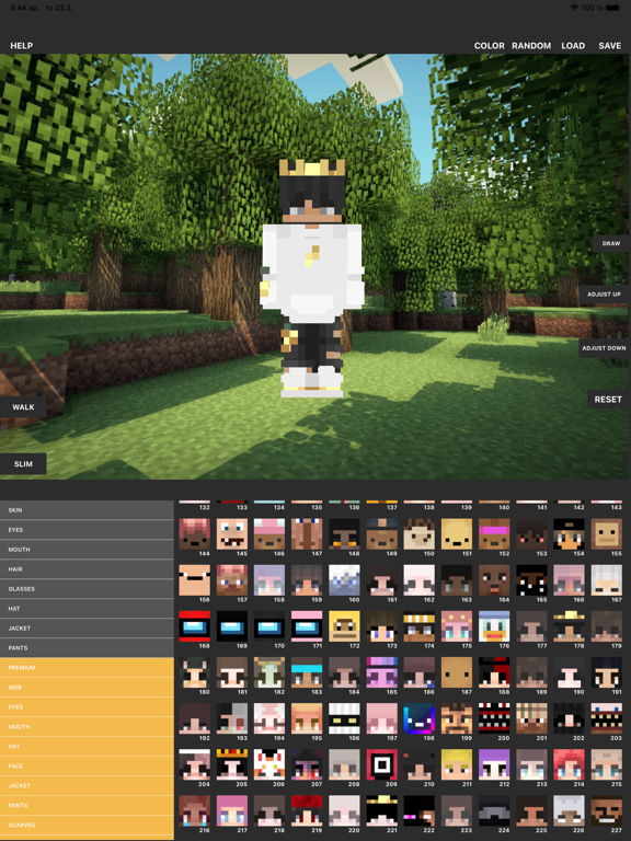 Custom Skin Creator screenshot 6