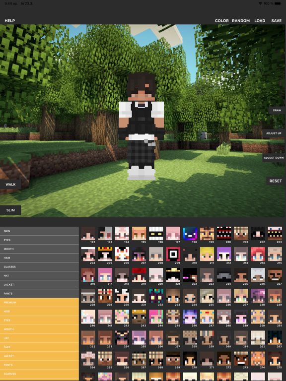 Custom Skin Creator screenshot 3