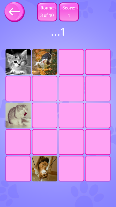 Cute Cats Memory Match Game screenshot 2