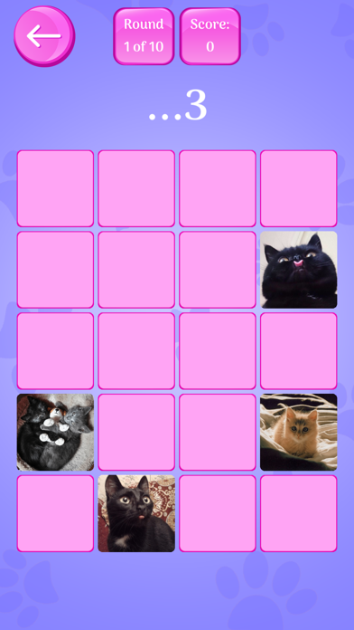 Cute Cats Memory Match Game screenshot 3