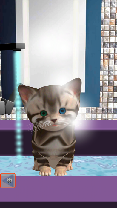 Cute kitten virtual pet, your own kitty to take care screenshot 3