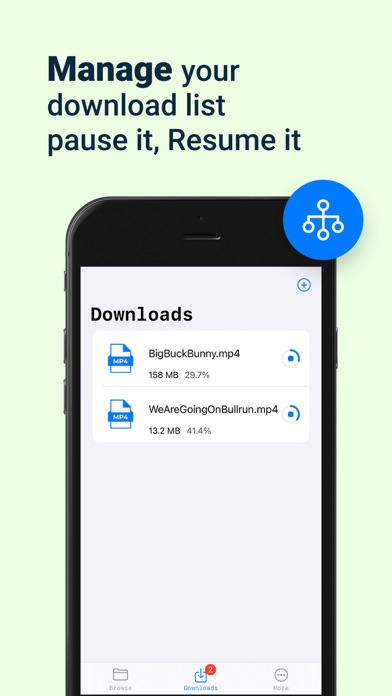 D Manager IDM screenshot 4