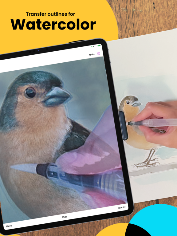 Da Vinci Eye: AR Trace & Draw screenshot 6
