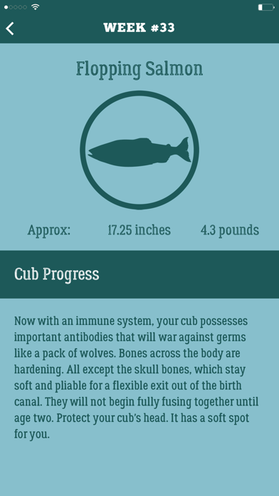 Dad Pregnancy Guide: Daddy Up screenshot 3