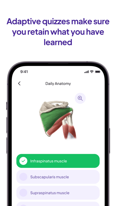 Daily Anatomy Flashcards screenshot 2
