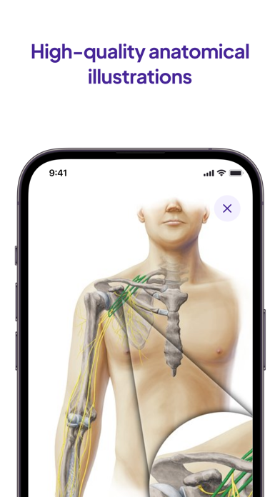 Daily Anatomy Flashcards screenshot 1