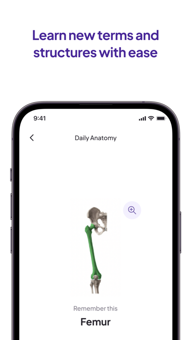 Daily Anatomy Flashcards screenshot 3