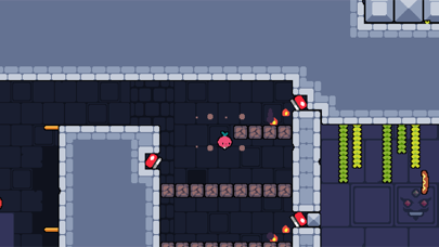 Daily Dadish screenshot 1