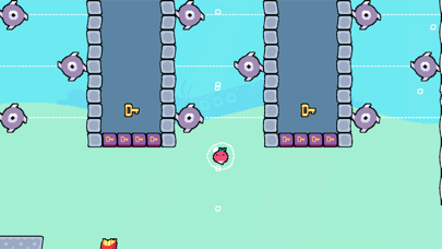 Daily Dadish screenshot 3