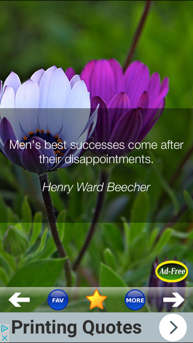 Daily Inspirational Wisdom and Motivational Quotes screenshot 1