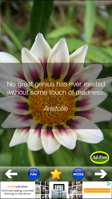 Daily Inspirational Wisdom and Motivational Quotes screenshot 2