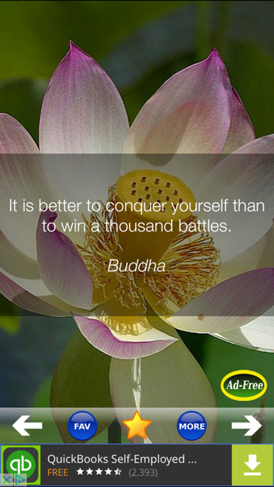 Daily Inspirational Wisdom Quotes and Sayings screenshot 2