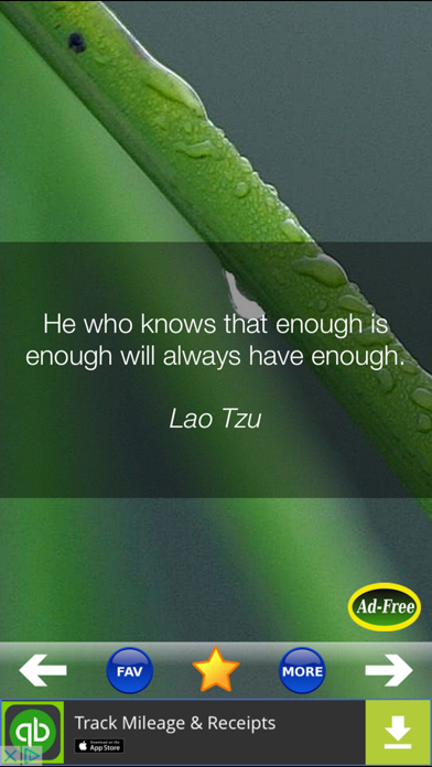 Daily Inspirational Wisdom Quotes and Sayings screenshot 1
