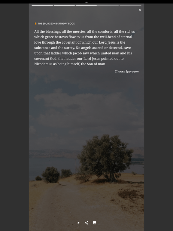 Daily Wisdom from God's Word screenshot 5