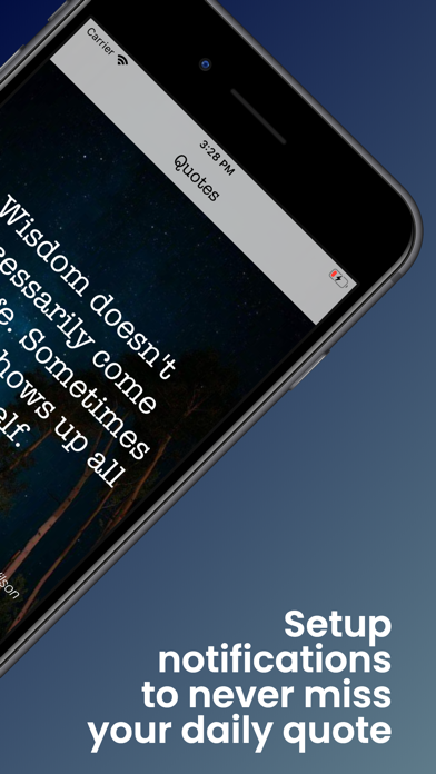 Daily Wisdom Quotes screenshot 4