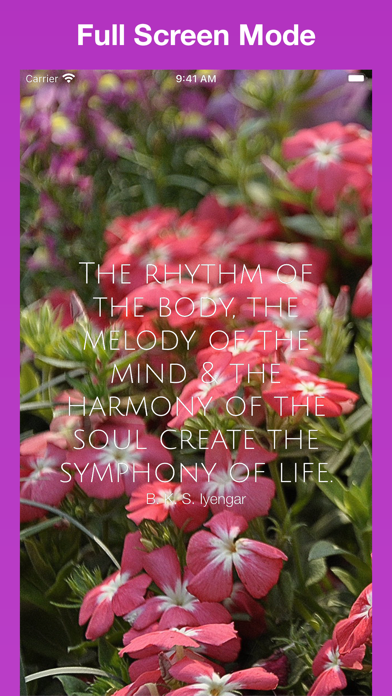 Daily Yoga Quotes  - YogaQuote screenshot 2