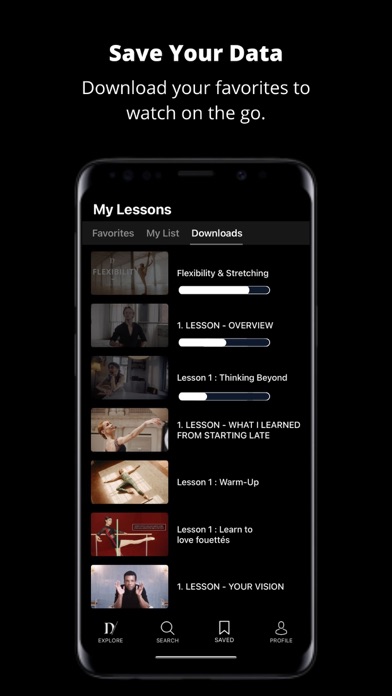 DANCE MASTERCLASS screenshot 3