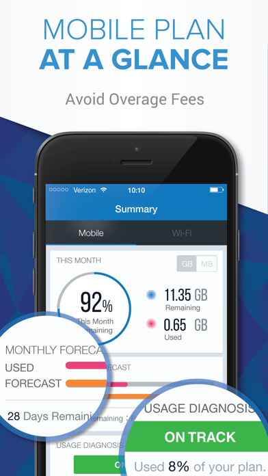 Data Manager - Track Usage of Mobile/Wi-Fi Data Plan screenshot 4