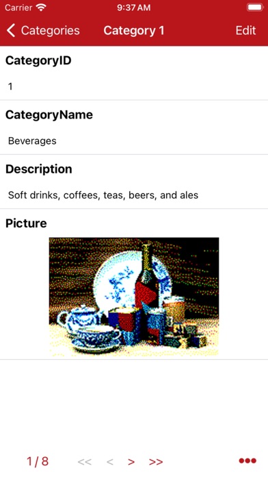 Database Manager for MS Access screenshot 2