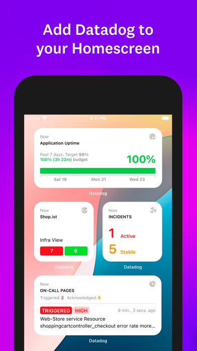 Datadog screenshot 1
