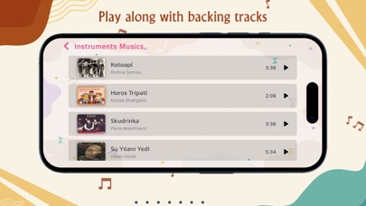 Davul Zurna Band screenshot 2