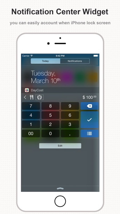 DayCost Pro - Personal Finance screenshot 4