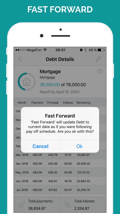 Debt Free Box: Snowball Payoff screenshot 2