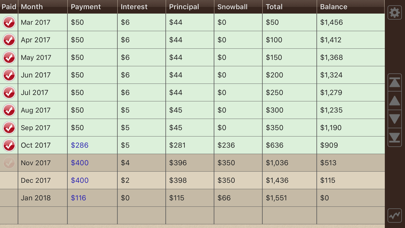 Debt Manager screenshot 2