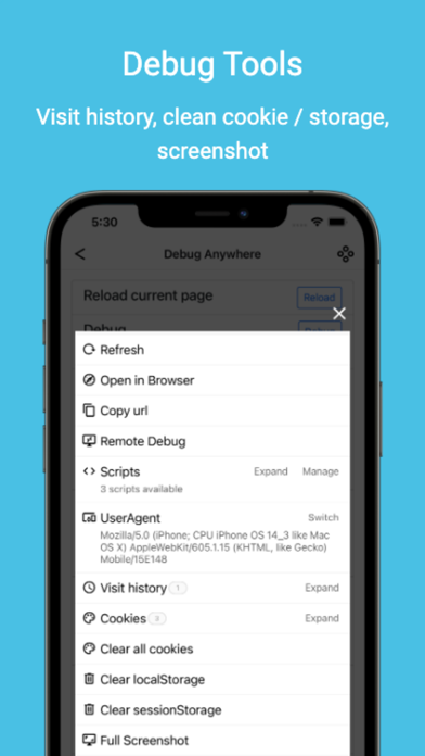 Debug Anywhere screenshot 5