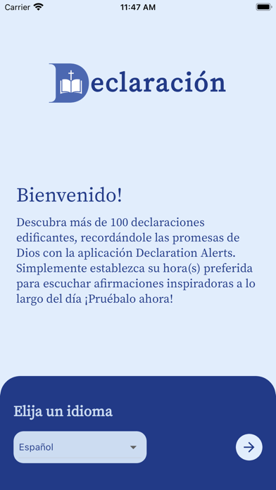 Declaration Alerts screenshot 4