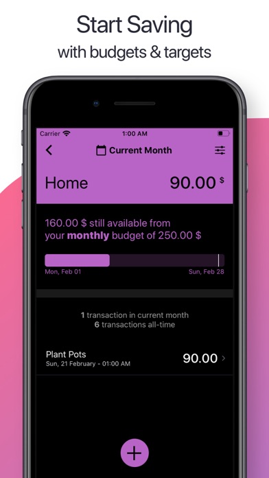 Deep Pockets: Budget Manager screenshot 4