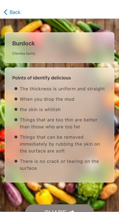 Delicious vegetable screenshot 1