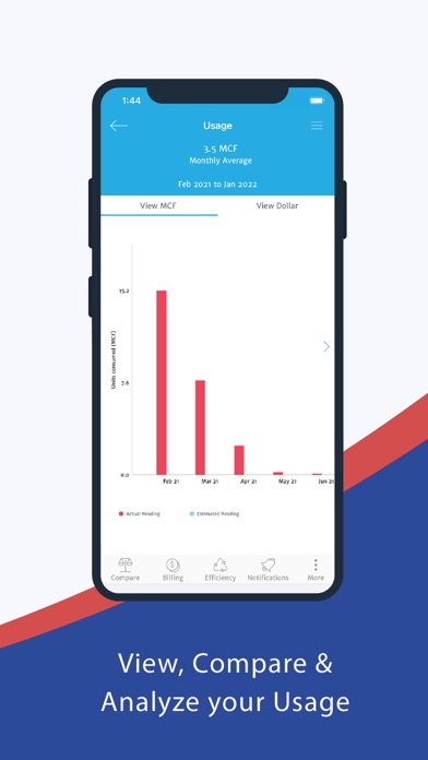 Delta e-Account screenshot 2