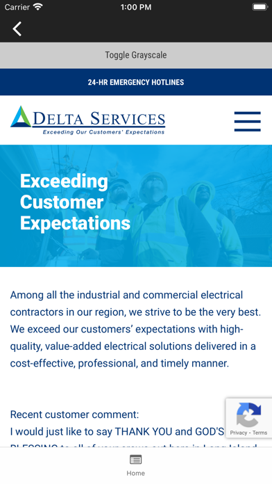 Delta Services screenshot 1
