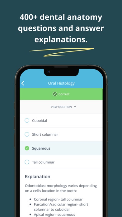 Dental Anatomy Mastery screenshot 2