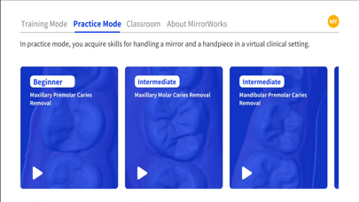 Dental MirrorMaster 3.1 screenshot 3