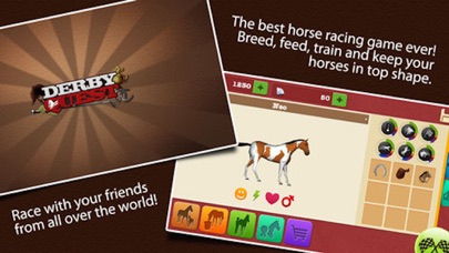 Derby Quest: Horse Manager screenshot 1