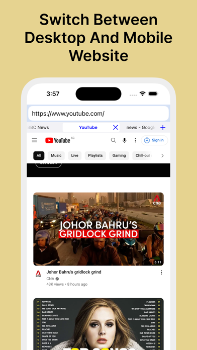 Desktop Browser™ screenshot 3