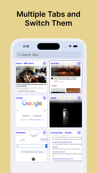 Desktop Browser™ screenshot 1