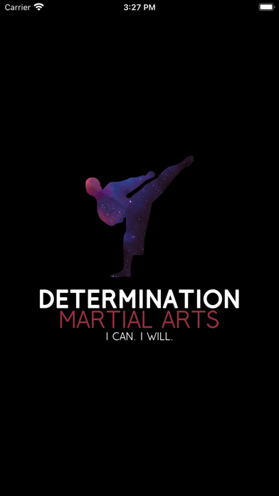 Determination Martial Arts screenshot 4