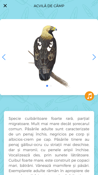 Determinator de păsări screenshot 3