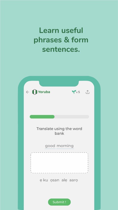 Dialogue: Learn Twi, Yoruba ++ screenshot 2