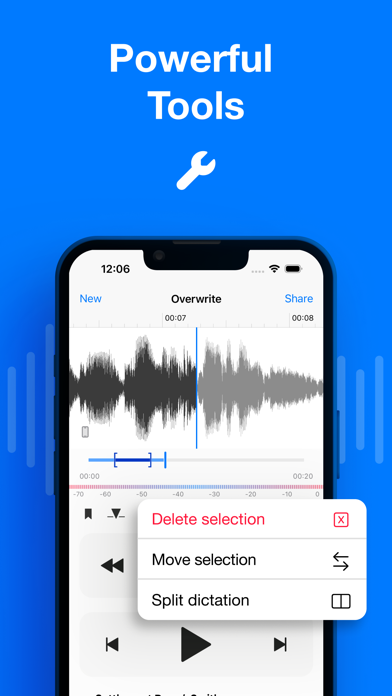 Dictate⁺ screenshot 2