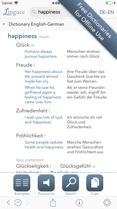 Dictionary Linguee screenshot 4