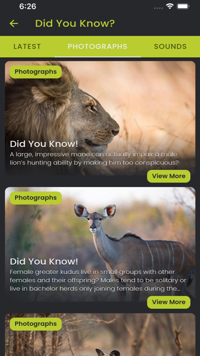 Did you know: African Wildlife screenshot 2