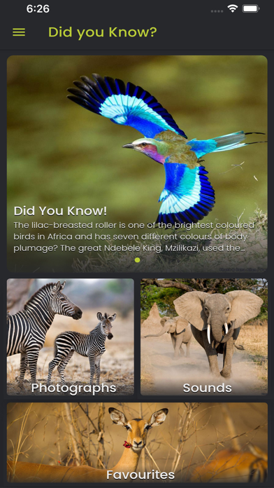 Did you know: African Wildlife screenshot 1