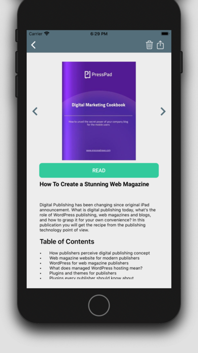 Digital Publishing Guide screenshot 2