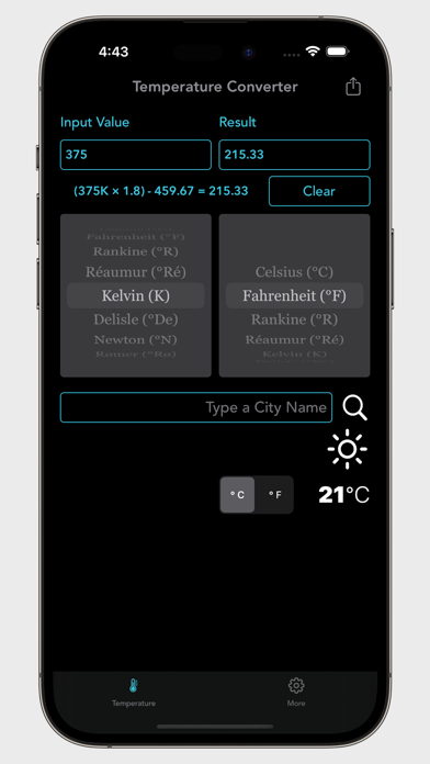 Digital Temperature Converter screenshot 1